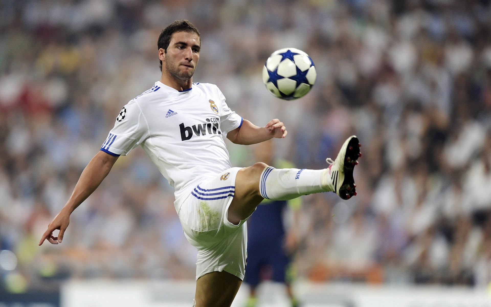 海鹰外接手状态火热，全队势头高涨，海鹰什么意思